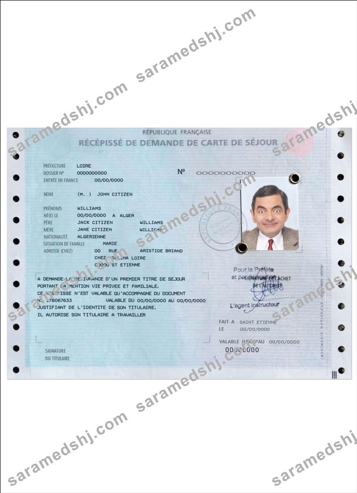 French residence permit (carte de séjour)